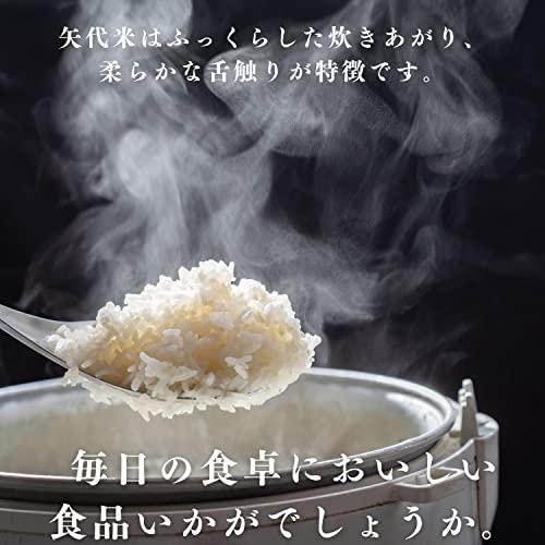 令和5年度産新米！新潟こしひかり 矢代米(やしろまい) 精米 ５ｋｇ (1袋)