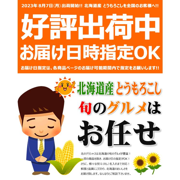 北海道産 とうもろこし ホワイトショコラ 10本入り(冷蔵便) 朝採り トウモロコシ とうきび スイートコーン 北海道 グルメ 送料無料 お取り寄せ