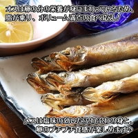 1316. ししゃも 雌雄 食べ比べ セット 40尾 シシャモ 海鮮 魚介 送料無料 北海道 弟子屈町