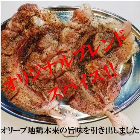 国産 若鶏 チキン オリーブ 地鶏 (瀬戸赤どり) 香川 讃岐 名物 骨付き鶏 6本