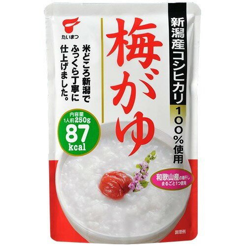 たいまつ食品　梅がゆ　250g×40袋