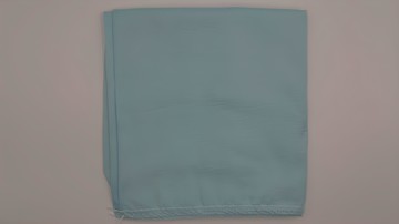 Blue Cat 藍貓 日式無印風素色枕套 淺藍  45 x 75cm  2組