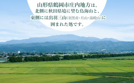 新米 山形県庄内産 特別栽培米つや姫10kg（5kg×2） 鶴岡米穀商業協同組合