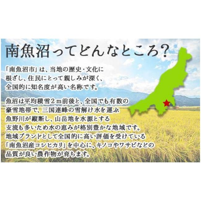 ふるさと納税 新潟県 南魚沼市 ES157 新潟県 南魚沼市 生切り餅 1kg 2個 計2kg もち モチ 黄金もち 雑煮 和菓子 やまと食品 大容量 お取り寄せ グルメ