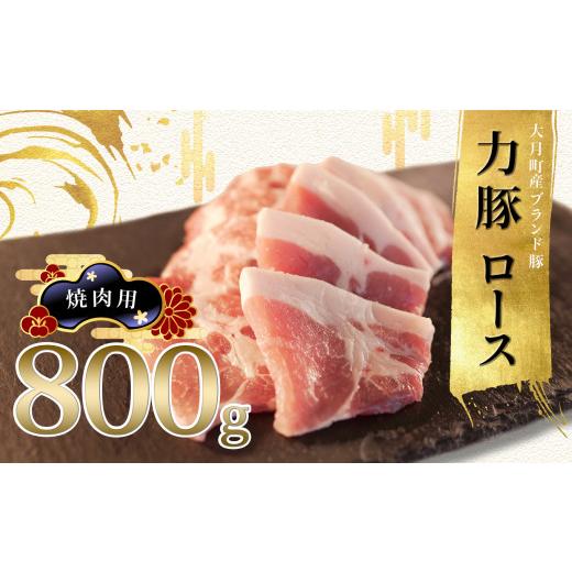 ふるさと納税 高知県 大月町 力豚ロース　焼き肉用800g