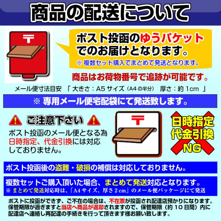 博多ラーメン　九州生麺　セット　会員価格550円　本場とんこつスープ付 2人前　お取り寄せ　ご当地ラーメン　特産品　メール便商品　お試しグルメギフト