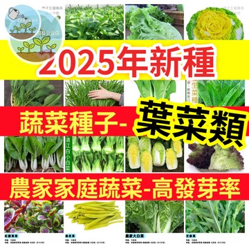 【12h出貨】2025年新種農家蔬菜種子-葉菜類（清江白菜#萵苣生菜#A菜#娃娃菜#茼蒿#西藍花椰菜#冰菜#空心菜）