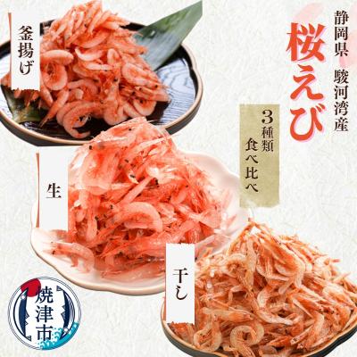 ふるさと納税 焼津市 焼津特選桜えび3種類食べ比べ (b10-049)