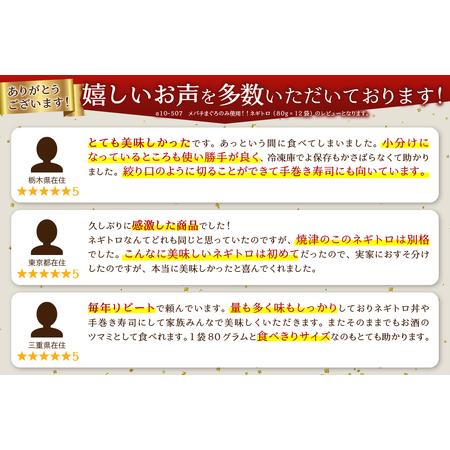 ふるさと納税 a10-507202312　メバチまぐろのみ使用！！ネギトロ（80g×12袋）ネギトロ丼 ネギトロ軍艦 ネギトロ手巻き.. 静岡県焼津市