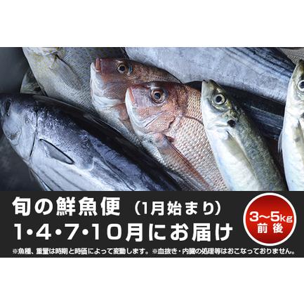 ふるさと納税 山田さんちの「旬の鮮魚便」 計4回(1月始まり) 高知県大月町