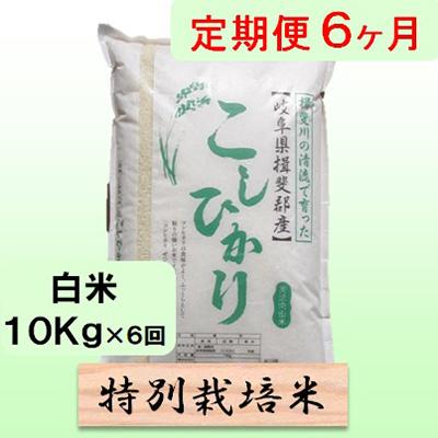 ふるさと納税 池田町 6ヶ月特別栽培米10kg(コシヒカリ)全6回