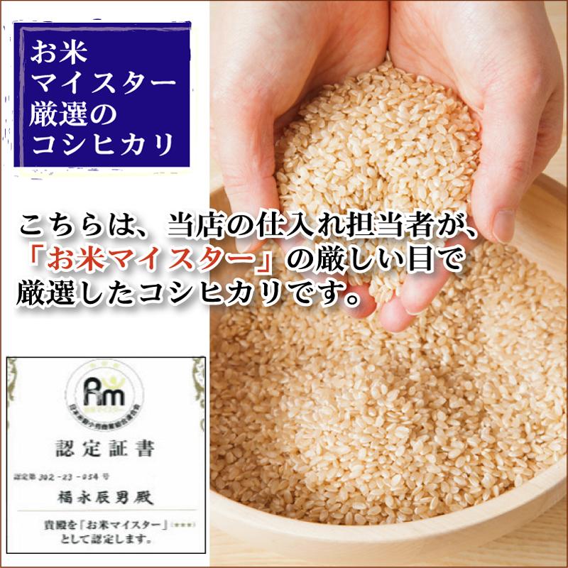 新米 無洗米 10kg 5kg×2 新潟県産 コシヒカリ 令和5年産 送料無料 お米マイスター厳選 HACCP認定工場