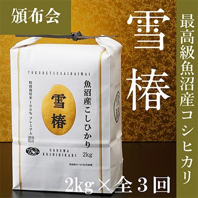 ふるさと納税 津南町 2024年1月発送開始『定期便』高級魚沼産コシヒカリ「雪椿」2kg全3回