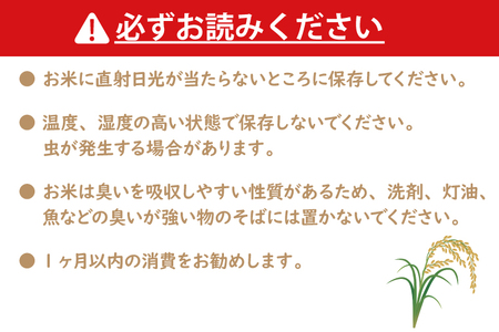  令和5年産 新米 無洗米 茨城 コシヒカリ 10kg (5kg×2袋) ×6カ月 米 お米 おこめ 白米 ライス ご飯 精米 こしひかり 国産 茨城県産 定期便_CU006