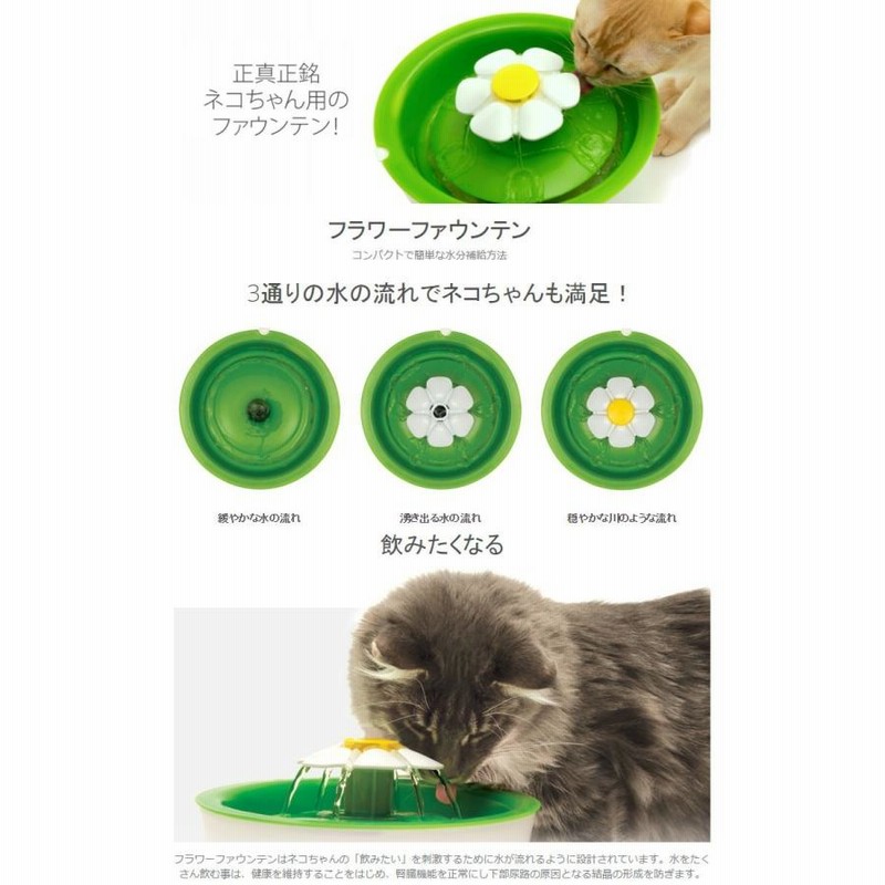新作】ジェックス[GEX] cat it[キャトイット] フラワー