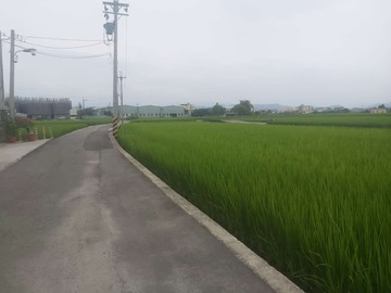 烏日新喀哩段農地~便宜農地｜台中市烏日區喀哩段