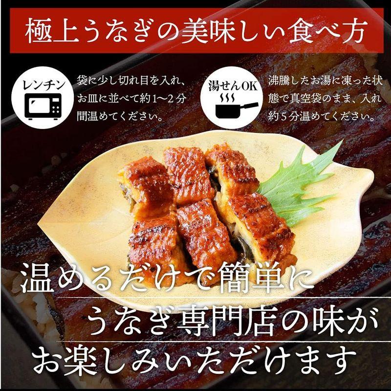 とろけるカットうなぎ 蒲焼 鰻 かば焼き (10人前1kg(100g×10))