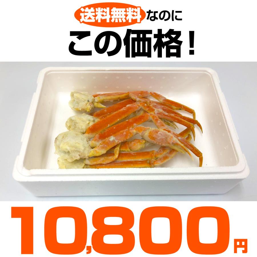 ズワイガニ足 4L 1kg 送料0円 ずわいがに ズワイ ずわい ずわい蟹 ボイル蟹 北海道 ズワイ足 カニ 蟹 年末年始 お歳暮 お正月 年末