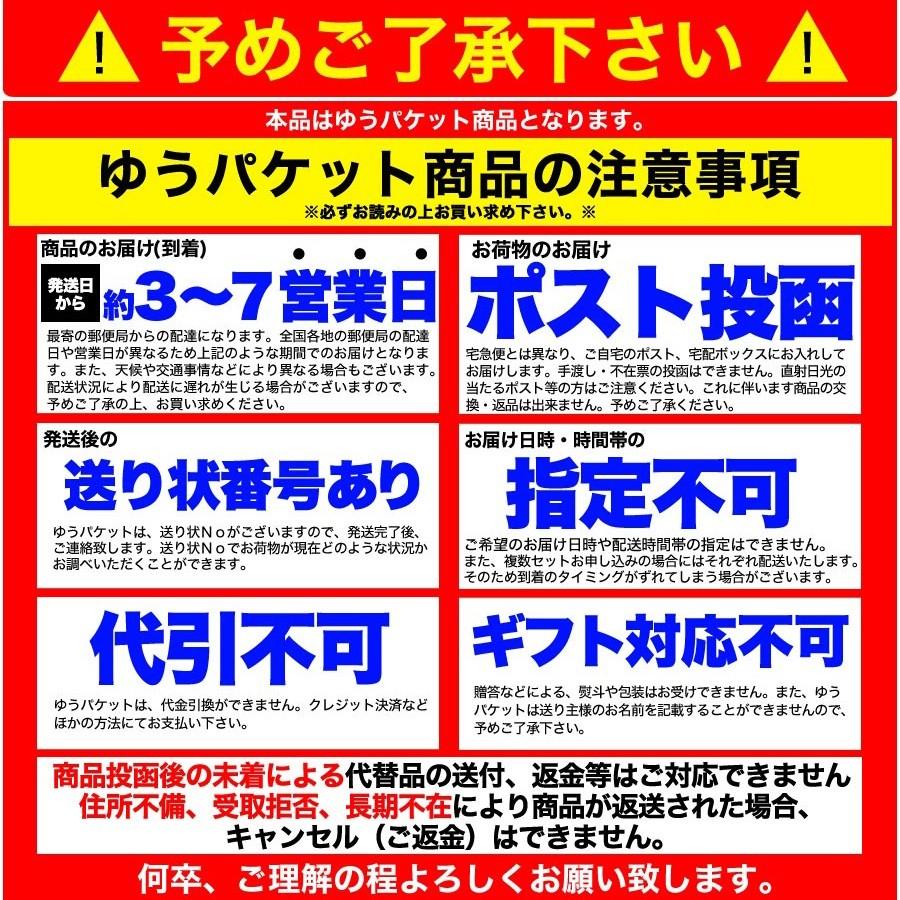 ゆうメール出荷 本場名産品!!老舗の盛岡冷麺４食スープ付き （100ｇ×4袋）