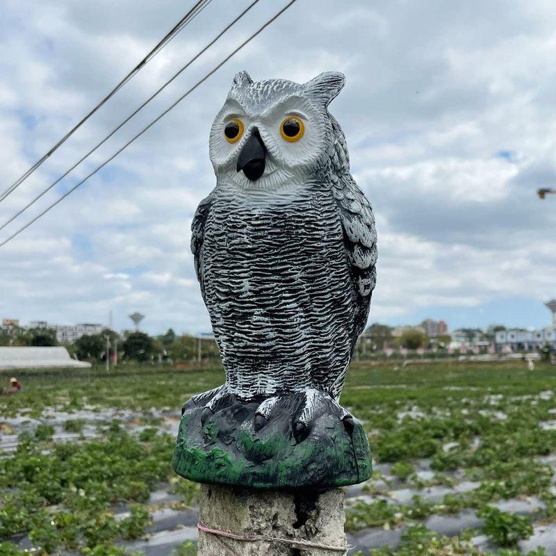 Skycabin 庭の装飾 フクロウ 驚異な目玉で威嚇本物そっくりでどんな 鳥もびっくり鳥 よけ防鳥防獣対策撃退ハト スズメ カラス ムクド