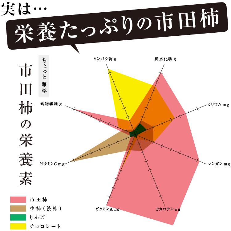 予約 干し柿 市田柿 150g 長野産 ドライフルーツ 干柿 ご自宅用 産地直送 お菓子 いちだかき GIマーク認証 お歳暮