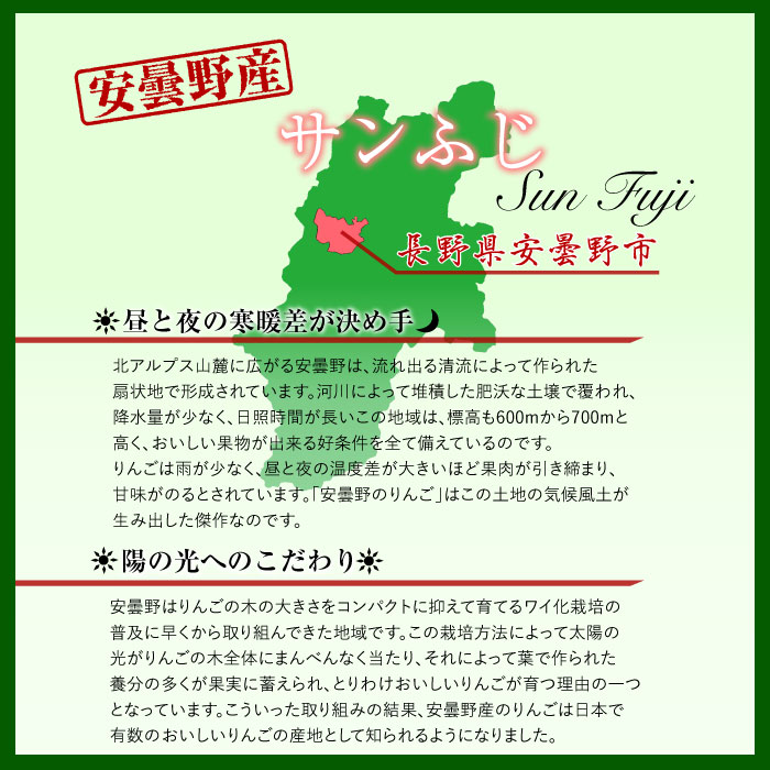 [予約 2023年 11月25日-12月10日の納品] サンふじ 5-6玉 大玉 約 2kg りんご 長野県産 安曇野 冬ギフト お歳暮 御歳暮