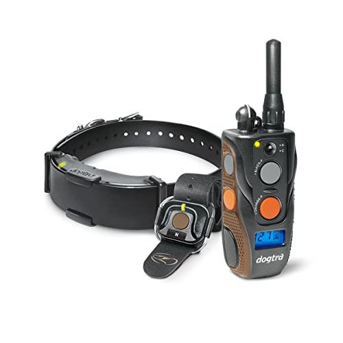 Dogtra sales bungee collar