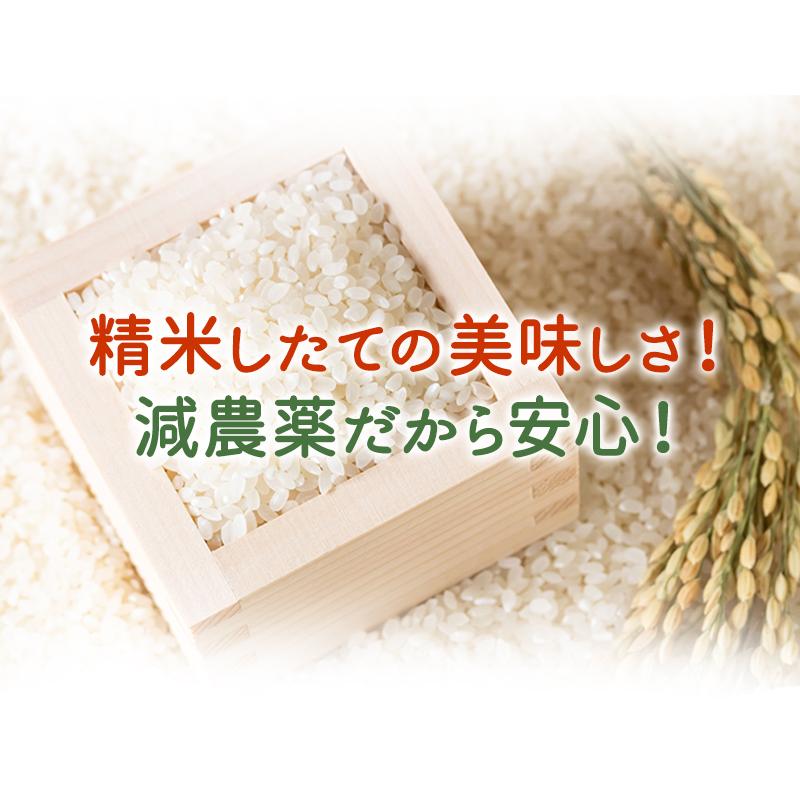 新米入荷 減農薬・無化学肥料栽培 コシヒカリ「福の舞」3kg 送料無料 令和5年福井県産