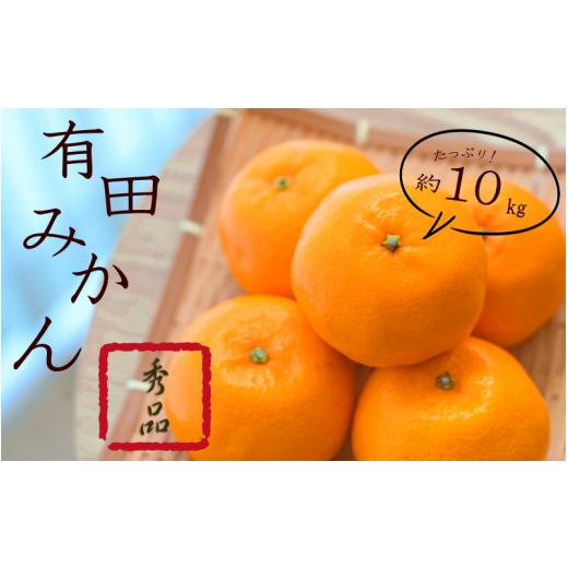 ふるさと納税 和歌山県 串本町 紀州有田みかん 秀品 約10kg(МまたはS