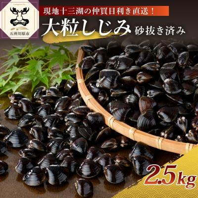 ふるさと納税 五所川原市 津軽十三湖産 大粒しじみ2.5kg(冷凍・砂抜き済)