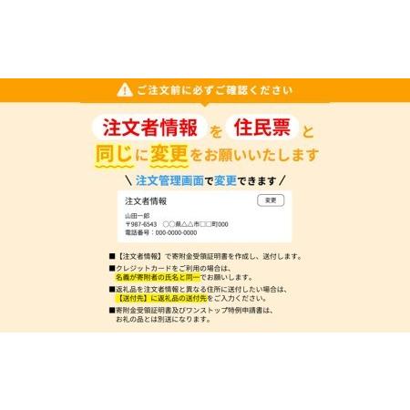 ふるさと納税 新井製麺所　つくば半生手なえうどん５袋入り（１０食分）[BW013ci] 茨城県筑西市