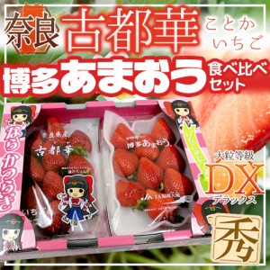 奈良・福岡県産 ”博多あまおう＋古都華いちご 食べ比べセット” 2pc 送料無料