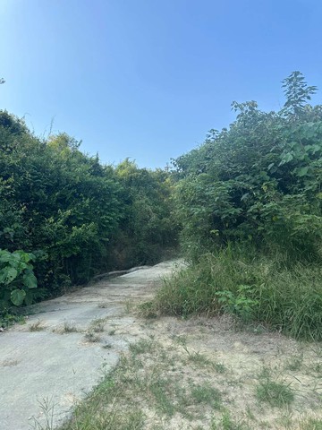 大樹區三和段漂亮農地｜高雄市大樹區三和段