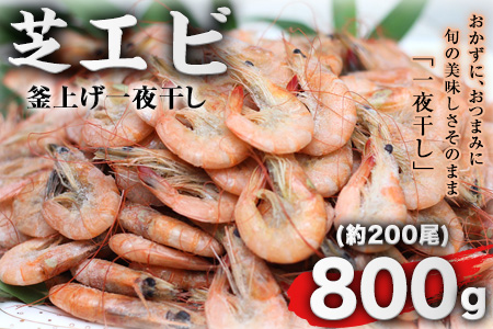 釜揚げ一夜干し 芝えび 800g 約0尾 内野海産 45日以内に順次出荷 土日祝除く 通販 Lineポイント最大1 0 Get Lineショッピング