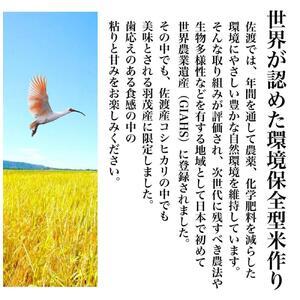 ふるさと納税 佐渡羽茂産コシヒカリ そのまんま真空パック 900g×6袋セット 新潟県佐渡市