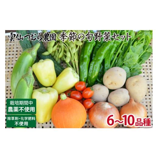 ふるさと納税 長崎県 雲仙市 季節の旬野菜セット 6〜10品種 詰め合わせ 産地直送   雲仙つむら農園   長崎県雲仙市