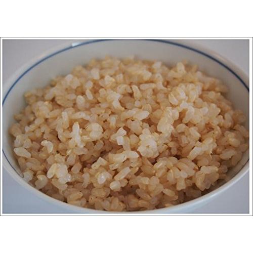 こばやし農園「発芽玄米」コシヒカリ（ 新潟県産 特別栽培米）令和5年産 30kg(5kg＊6)
