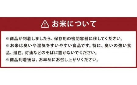 熊本県菊池産 ヒノヒカリ 無洗米 計30kg（5kg×6袋） 精米 お米 白米