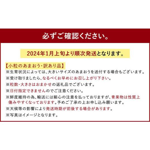 ふるさと納税 福岡県 太宰府市  あまおう 約280g×4パック 約1120g いちご イチゴ 苺 フルーツ