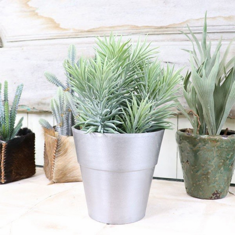 セネシオポット ファイクプランツ サボテン 観葉植物 造花 人工観葉植物 フェイクグリーン 開店祝い 引越し祝い ギフト かわいい おしゃれ 通販 Lineポイント最大0 5 Get Lineショッピング