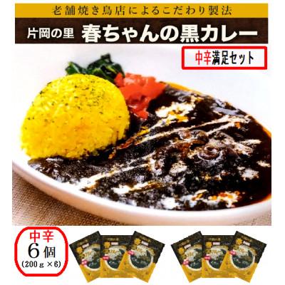 ふるさと納税 上牧町 片岡の里春ちゃんの黒カレー　中辛満足セット