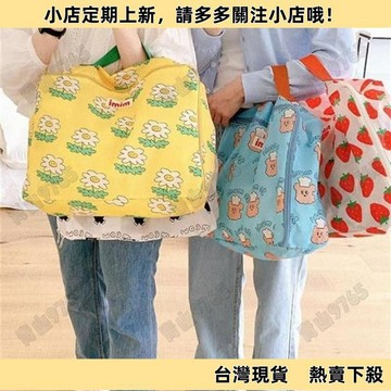 【精選優品】ins韓係卡通收納袋手提包拉鏈包旅行大容量整理袋多功能收納包