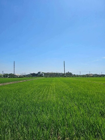 田園美農地｜桃園市新屋區新屋