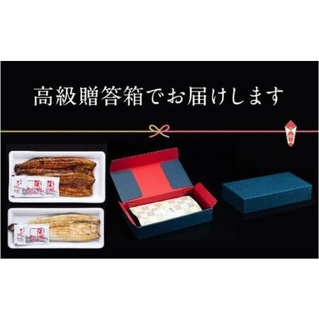 ふるさと納税 浜名湖産 朝じめ鰻 溶岩焼きコンビセット 約140g×3尾（蒲焼き 2尾・白焼き 1尾） 静岡県浜松市