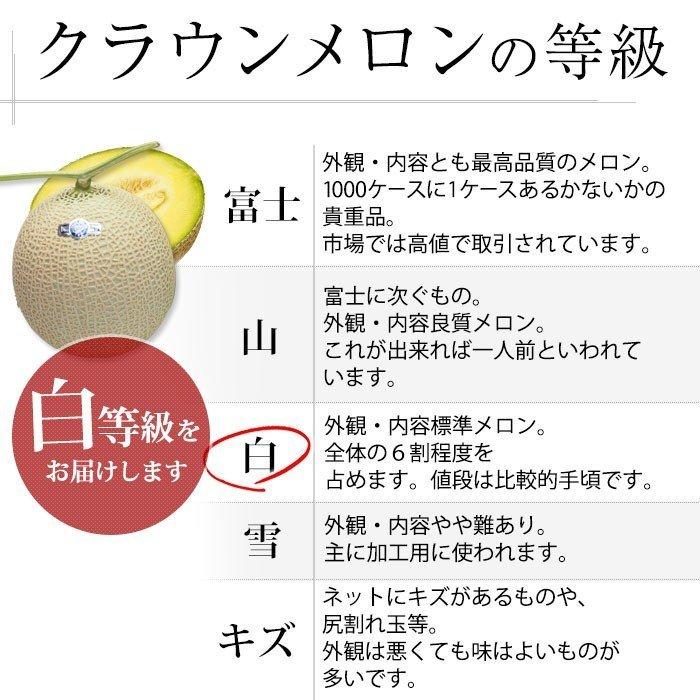 メロン 静岡県産 クラウンメロン 6個 等級：白 7.5kg以上 産地元箱入