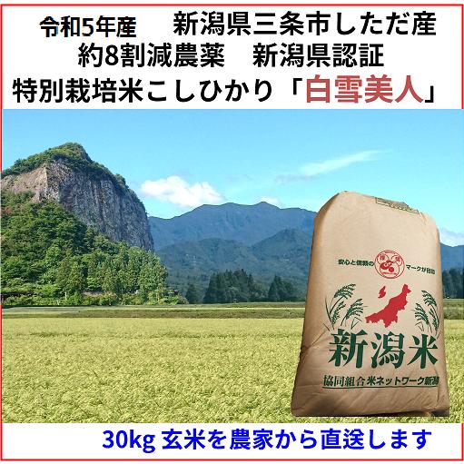 令和5年産新米　減農薬　新潟コシヒカリ玄米30kg 新潟県三条市旧しただ村産　新潟県認証　特別栽培米100%　偽装も混米も無し　白雪美人　グルテンフリー