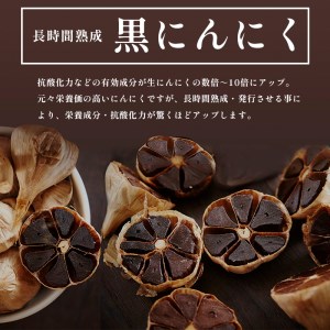 玄米核酸 黒にんにく 24包×6回 6ヶ月 ペースト 大蒜 舞鶴産黒ニンニク