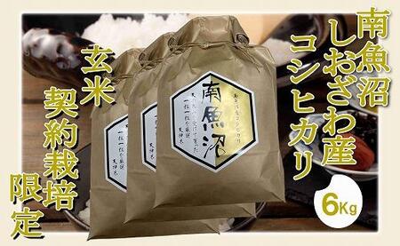 ●玄米● 生産者限定 南魚沼しおざわ産コシヒカリ