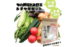 旬のお野菜おまかせセット＆山出米2kg