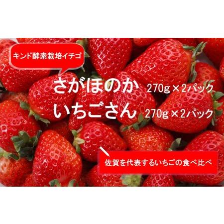 ふるさと納税 AE014_あま〜い！！キンド酵素栽培いちご 数量限定！.. 佐賀県みやき町